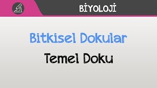 Bitkisel Dokular  Temel Doku [upl. by Relluf]