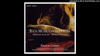 JS Bach  Ricercar Ricercar Consort [upl. by Eenhpad]