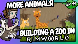 Building a Zoo in Rimworld  Ep 11 [upl. by Aciram248]