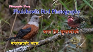 Exotic Birds in Nepal birds wildlife [upl. by Arrio692]