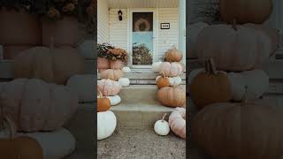 Creative Fall Decor Ideas for Your Front Porch with Pumpkins Outside [upl. by Rufena]