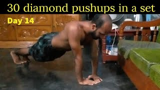 Diamond Pushup  Day14 [upl. by Hsetih]