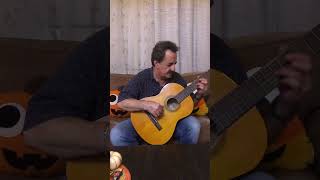 Kourosh YaghmaeiPaeez Guitar Solo Cover guitarperformance music guitar guitarsolo cover [upl. by Vocaay]