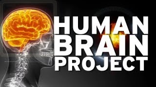 Human Brain Project [upl. by Annahs]