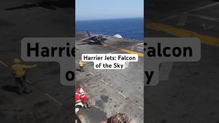 Harrier Jets The Flying Falcons of the Skies [upl. by Lanford]