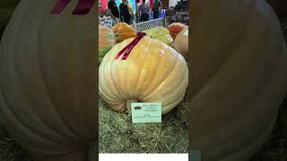 HOPKINTON STATE FAIR  CONTOOCOOK NH Part 4 829 92 2024 statefair newhampshire [upl. by Audette]