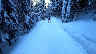 Kasprowy Wierch zjazd nartostradą do samego Zakopanego 20190121 [upl. by Katha]