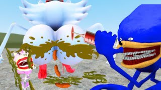 NEW EVOLUTION VS NEW THE SONIC TAPES LOVE STORY THE TAILS TAPES In Garrys Mod [upl. by Chemar]