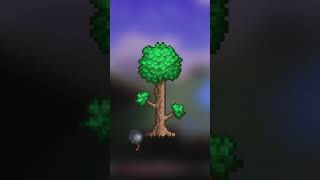 3 Terraria Seeds You Should Try [upl. by Risay]