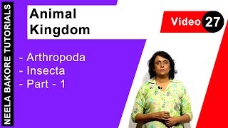 Animal Kingdom  NEET  Arthropoda  Insecta  Part  1  Neela Bakore Tutorials [upl. by Caldwell]