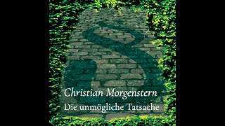 «Die unmögliche Tatsache» Christian Morgenstern – vorgetragen von Tom von Arx [upl. by Akimat]