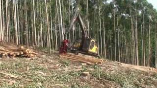 SP 591 LX on Volvo EC210B  Eucalyptus debarking [upl. by Arva716]