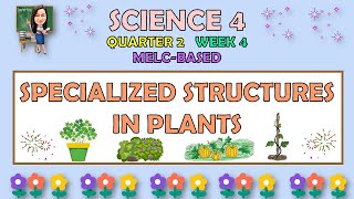 SCIENCE 4  QUARTER 2 WEEK 4  SPECIALIZED STRUCTURES IN PLANTS  MELCBASED [upl. by Kolnos]