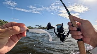 INSHORE SLAM  Wade Fishing in Sloppy Conditions [upl. by Dupaix]