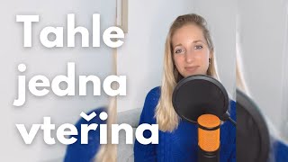 Emma Smetana amp Richard Müller  Tahle Jedna Vteřina cover Kateřina [upl. by Ennaerb]