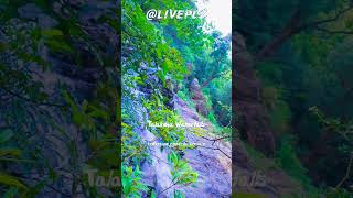 Talakona Waterfalls Top View [upl. by Pompea]