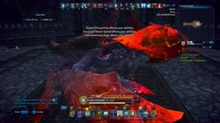 TERA Ps4 Brawler Rotation Showcase [upl. by Trebo790]