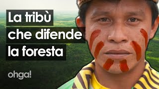 La storia dei Kaapor la tribù che si batte per difendere lAmazzonia dal disboscamento [upl. by Aderf308]