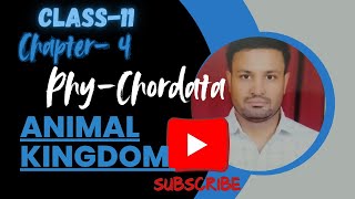 PHYLUM CHORDATA  Class 11th Phylum CHORDATA in easy hindi   NEET\BOARD [upl. by Anirdnajela]