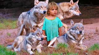 Huyendo de casa la niña llamó a su lobo esto es lo que pasó después [upl. by Ellenaj]