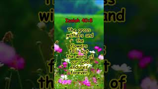 Isaiah 408 wordofgod [upl. by Oetomit]