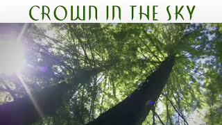 Crown In The Sky Promo Video [upl. by Rellia]