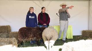 NY State Sheep amp Wool Festival Breed Talk Coopworth Sheep with Nick Pouder [upl. by Akkire]