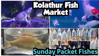 Kolathur Fish Market  🐠🐡🐟Imported amp Exotic Fishes Kolathur Market  Kolathur Sunday Packet Fishes [upl. by Amuwkuhc]