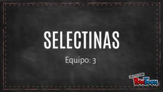 Selectinas [upl. by Nilloc103]