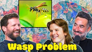 Tommys Popes Wasp Problem [upl. by Aymahs]