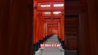 The famous Torii Gates at the Fushimi Inari Taisha Shrine in Kyoto Japan [upl. by Seltzer]