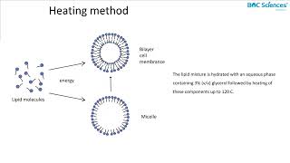 Liposome Preparation 1 [upl. by Kina]