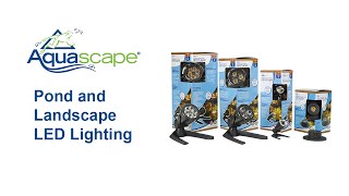 POND AND LANDSCAPE LIGHTING FROM AQUASCAPE [upl. by Eudosia502]