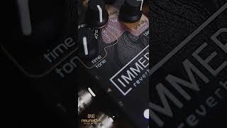 Neunaber Audio  Immerse Reverberator MKII Sustain SHORTS [upl. by Jo Ann]