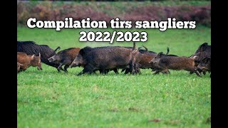 ☆54 tirs  compilation tirs sangliers best of 20222023☆ [upl. by Juster]