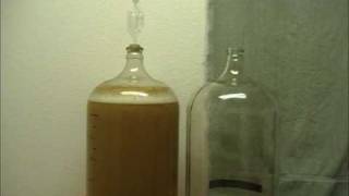 Watch a Full Beer Fermentation  BrewingDailycom [upl. by Nations]