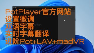 PotPlayer设置 [upl. by Lemraj59]