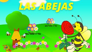 APRENDE sobre las abejas TODO sobre la abejaLA ABEJA para niñosCONOCE a la abeja POLINIZACIÓN [upl. by Eima176]