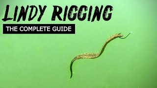 Lindy Rigging Walleyes The Complete Guide [upl. by Alegnad688]