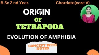 Origin Of Tetrapoda bsc 2nd yearAmphibian ancestrycoelomates tetrapoda [upl. by Mortensen]