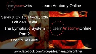 Episode 153  The Lymphatic System Part 2 [upl. by Horgan]