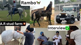 AR Stud Farm Jodhan te hoi interview🎥Thar agi vapis🥳 [upl. by Ahsieym]