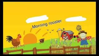 morning rooster [upl. by Hazem109]