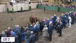 Cavan Equestrian Center Sale [upl. by Pugh]