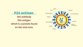 Rapid HIV1 RNA PCR Test by Dr Jonathan Ti [upl. by Aiyekal]