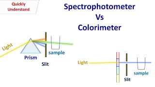 Difference between spectrophotometer and colorimeter [upl. by Noevad]