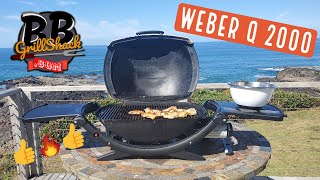 Testing the Weber Q 2000 Q 200 Is it a good Portable Gas Grill [upl. by Nosyerg]