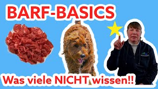 BARF Das NICHT füttern und MISCHEN Trocken Nassfutter  Rohfleisch Welpe Hund richtig füttern [upl. by Sucramel]