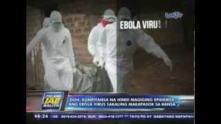 DOH kumpiyansa na hindi magiging epidemya ang Ebola virus sakaling makapasok sa bansa [upl. by Alikahs671]