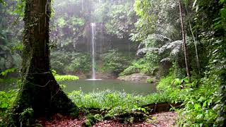 Rainforest Waterfall and Rain Sounds for Sleeping or Studying  White Noise Rainstorm 10 Hours [upl. by Daffie]